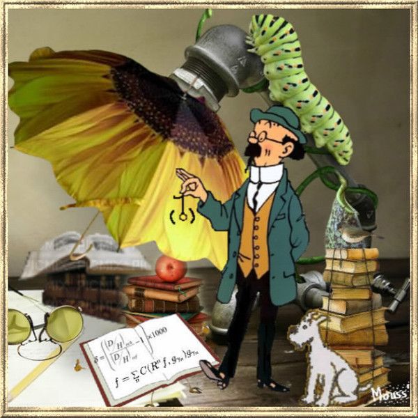 Êtes-vous Tintin ou Professeur Tournesol? | OHdio | Radio-Canada