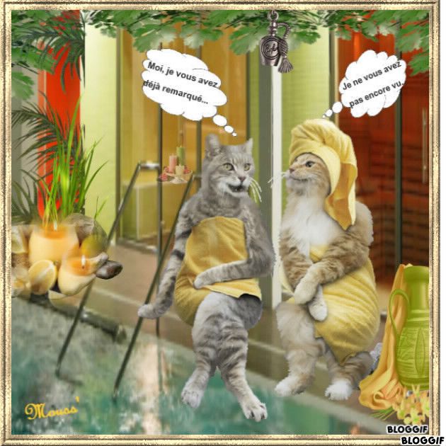 Rencontre piscine